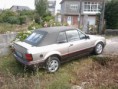 /album/encuentros-inesperados/a1986escort-cabrio-jpg/